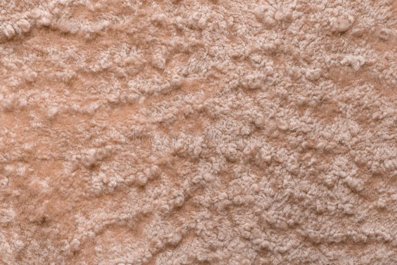Brown beige fur wool abstract pattern nature skin soft warm fluffy background texture royalty free stock images