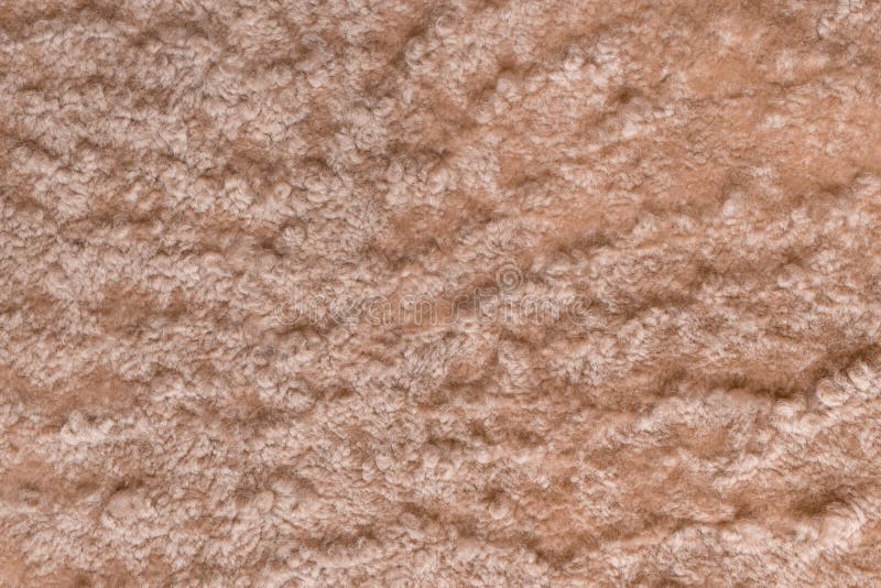 Brown beige fur wool abstract pattern nature skin soft warm fluffy background texture stock photography