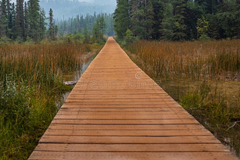 A brown boardwalk leading into the forest from Liard River Hot Springs,  the background is hazy from the wildfire smoke, nobody in
