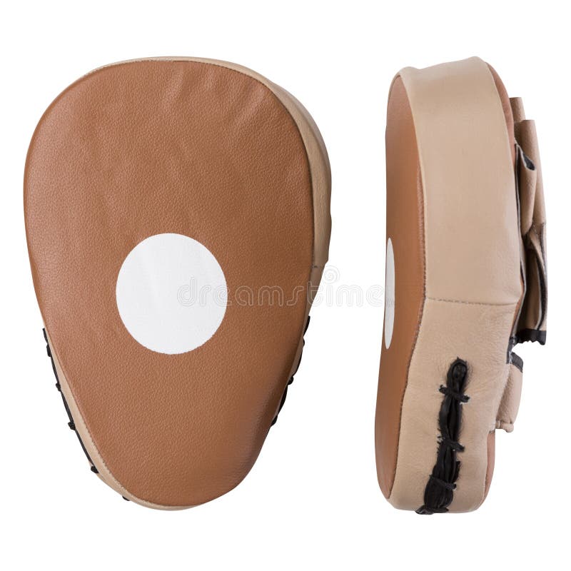 Paws for Practicing Punches with a Trainer Isolated on White Background Stock Photo Image of