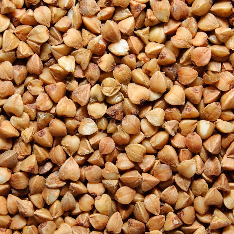 Brown buckwheat grains stock image. Image of healthy 12271985
