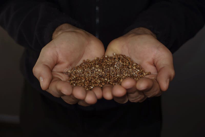 Brown Buckwheat Grains for Cooking Closeup and Blurred Background Stock Image Image of