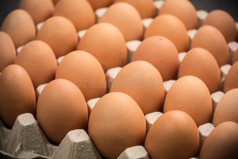 Brown Cagefree Chicken Eggs Stock Photo Image of groceries, healthy