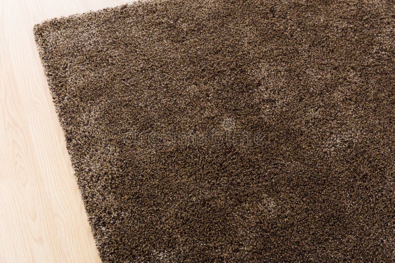 Brown carpet at home stock photo. Image of floor, nylon 36355592