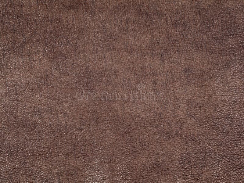 510 Calf Cow Leather Texture Stock Photos Free & RoyaltyFree Stock