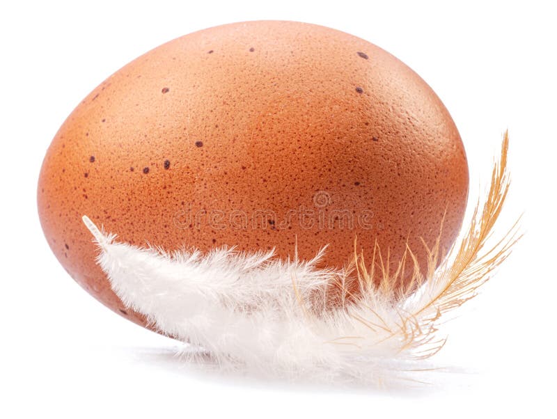 Brown Chicken Egg and Chicken Feather Isolated on White Background