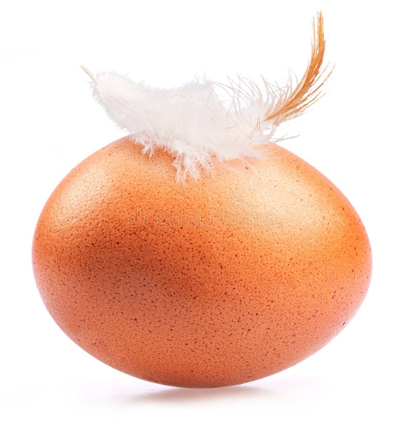 Brown Chicken Egg and Chicken Feather on Its Top Isolated on White