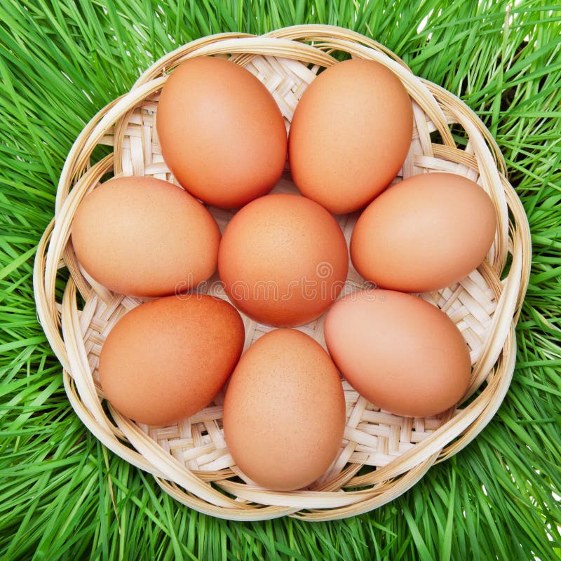 Brown chicken egg in a wicker basket