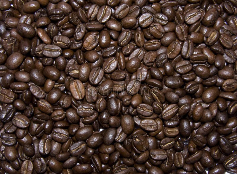 Brown coffee beans texture background