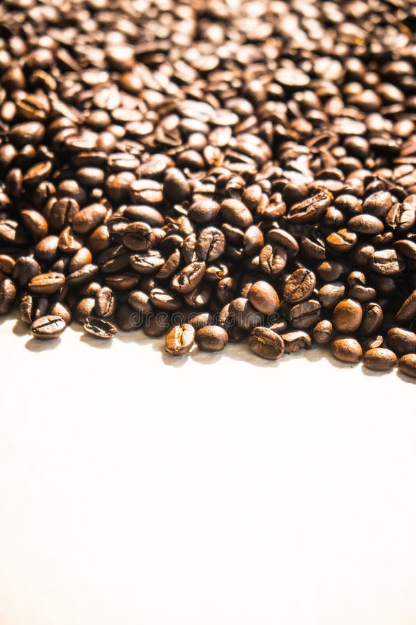 Brown Coffee Beans And Seed Stock Photo Image of mocha, cafe 116228652