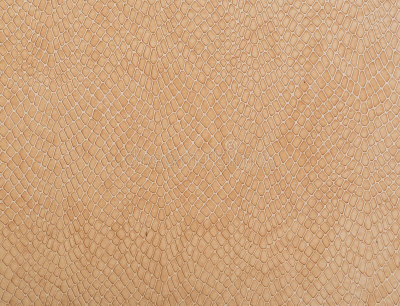 Brown colorful snake natural pattern on a background. patterns royalty free stock photos