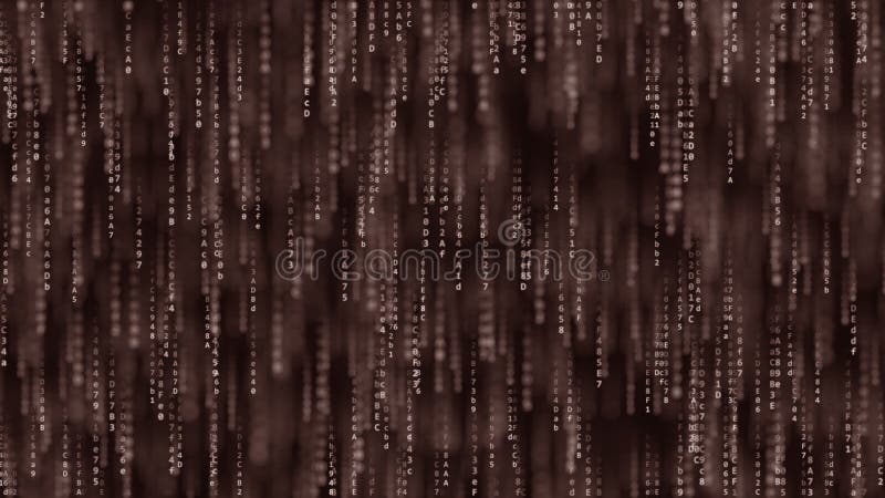 Brown-Computercode auf dem Schirm, Wiedergabe 3D stock abbildung