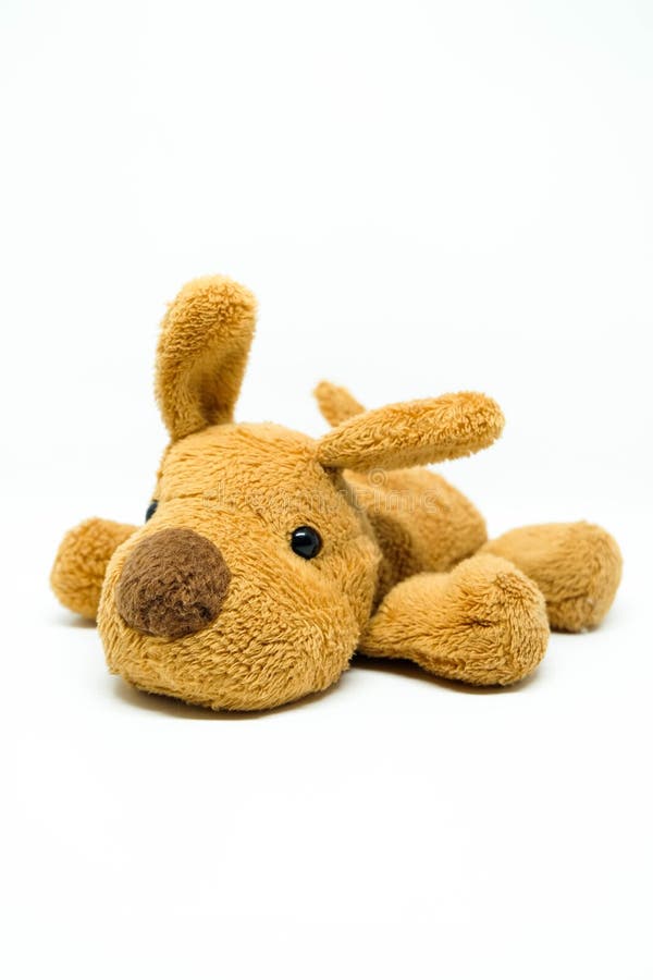 Brown dog stuffed doll stock photo. Image of brown, cute 67855626