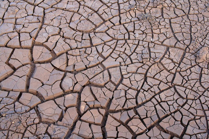 Image showing a stretch of brown cracked mud. Image showing a stretch of brown cracked mud