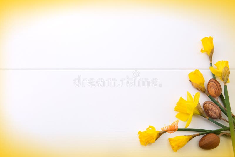 Brown easter eggs and yellow daffodils. Easter background. royalty free stock photography Brown easter eggs and yellow daffodils. Easter background. royalty free stock photography