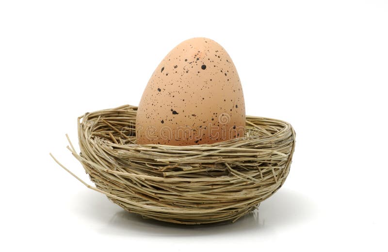 Brown Egg