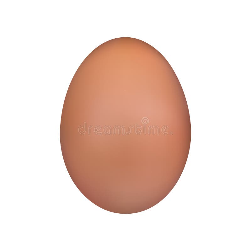 Brown egg. Chicken egg Easter symbol. Vector illustration isolated on white background
