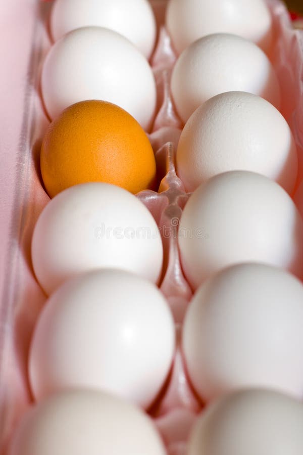Brown egg in the dozen stock photo. Image of compare 21308154