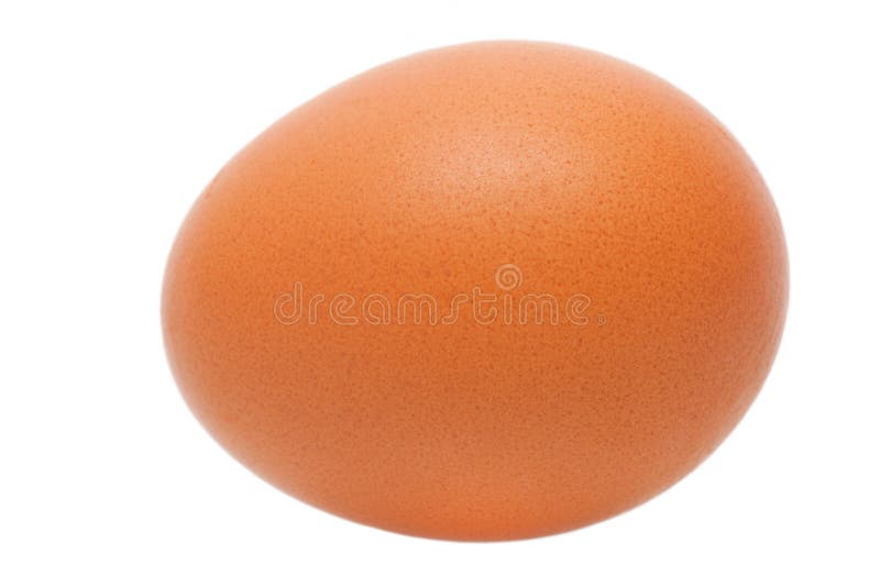 Brown egg isolated