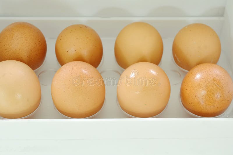Brown Egg Stored on Tray in Refrigerator Door Stock Photo Image of