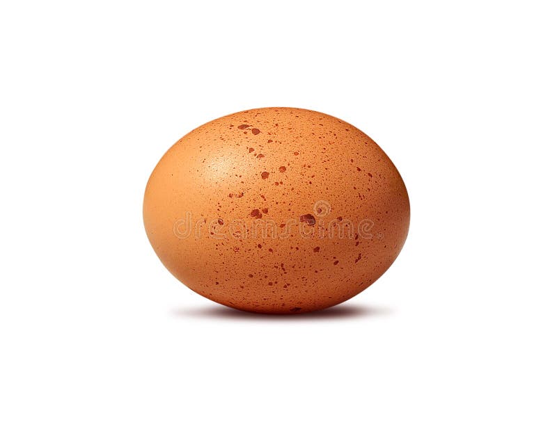 Brown egg on white background