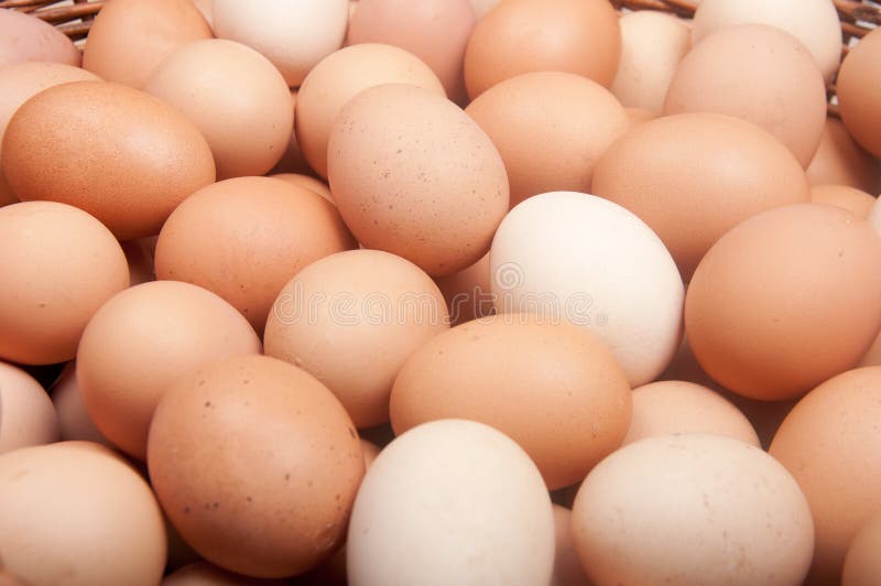 Brown eggs stock photo. Image of background, protein 26424952