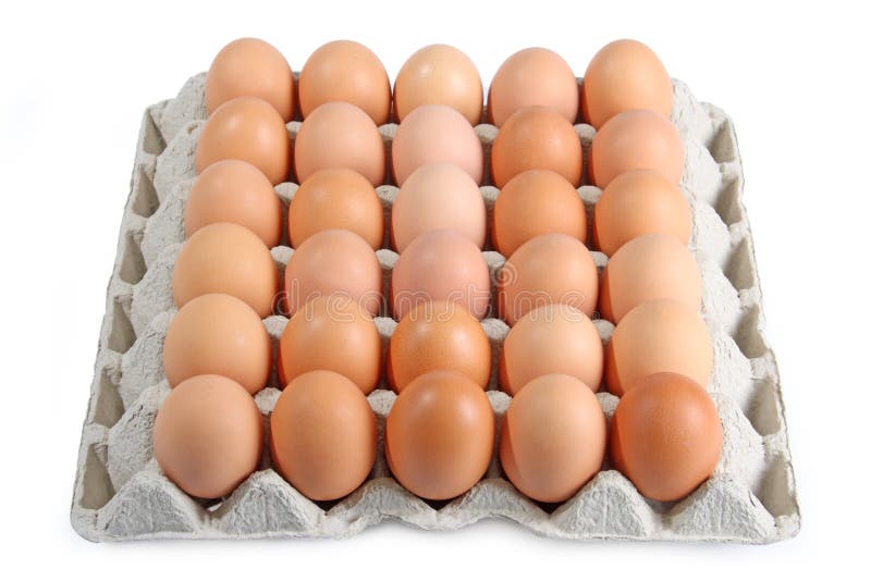 Brown eggs stock photo. Image of food, abundance, protein 8830446