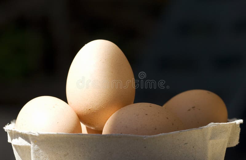 Brown eggs