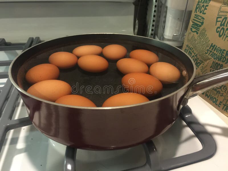 Brown Eggs Boiling on Stove Top Stock Image Image of boiled, boiling