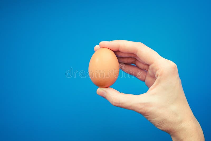Brown-Ei in einer Hand auf einem blauen Hintergrund stockbild Brown-Ei in einer Hand auf einem blauen Hintergrund stockbild