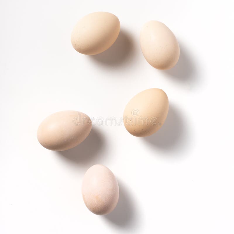 Brown-Eier auf weißem Hintergrund lizenzfreies stockbild