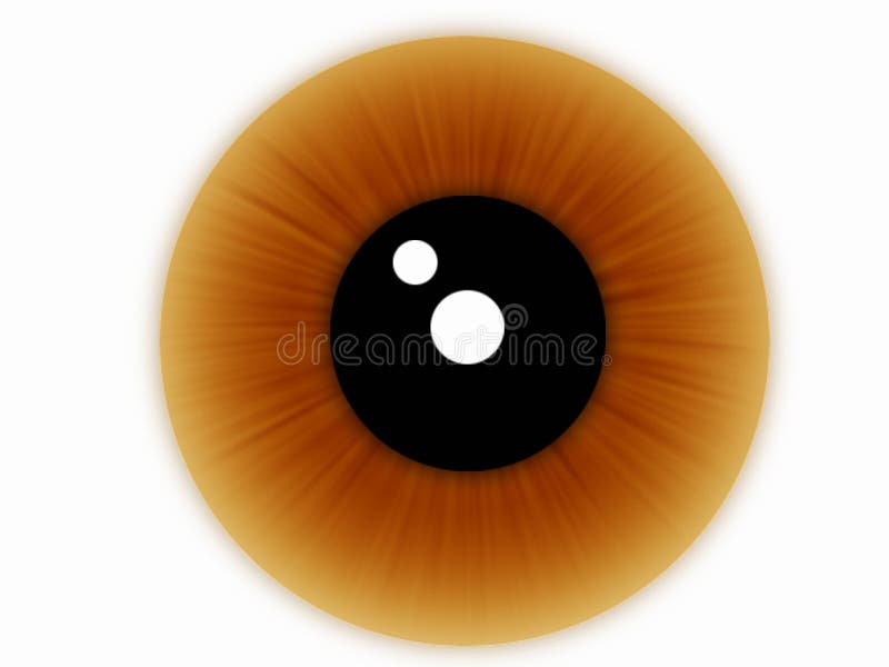 Predator Eye Texture, Orange Eyeball White Background Stock Photo - Image  of animal, fearless: 124685376
