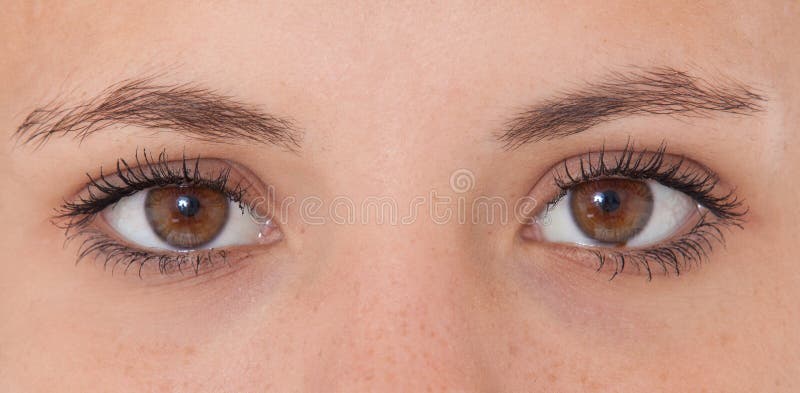 Brown eyes stock image. Image of eyes, woman, female - 47037933