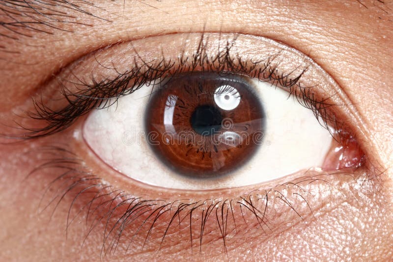 Man s blue eye stock photo. Image of closeup, optic, optician - 15265316