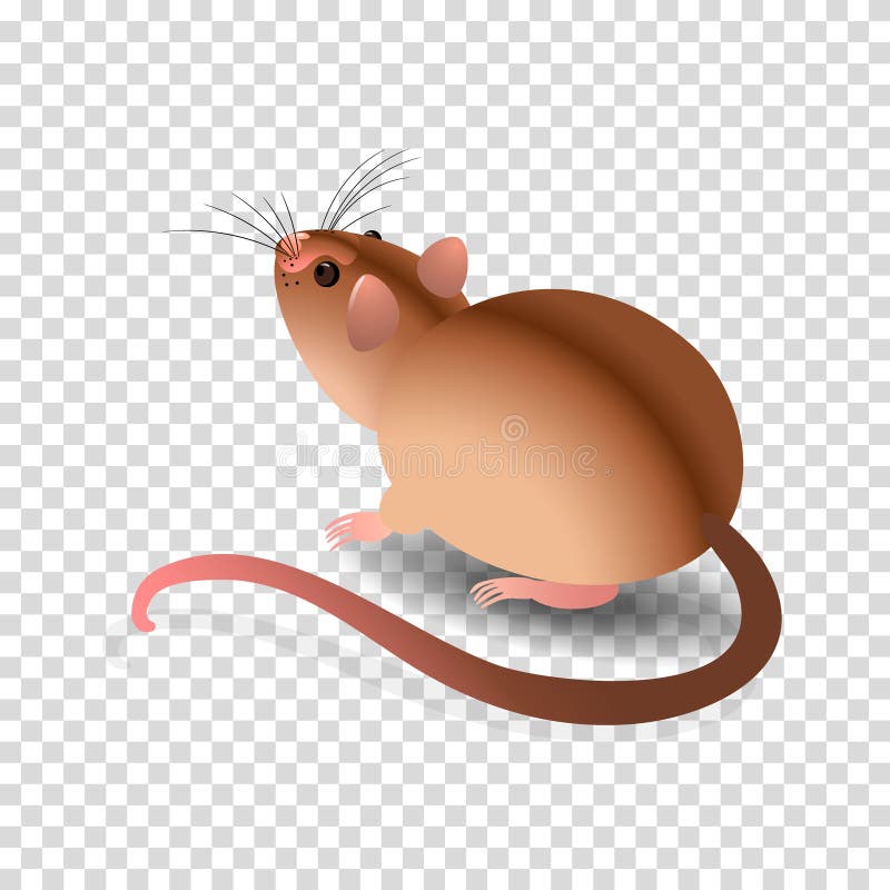 Brown Mouse Stock Illustrations – 3,314 Brown Mouse Stock Illustrations