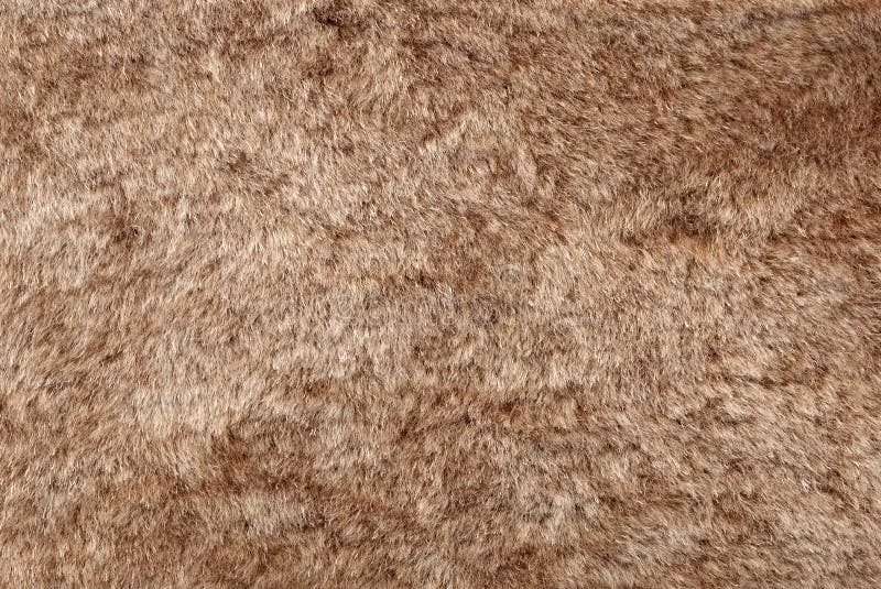 Brown Tabby Fur Texture – Free High Resolution Photo – Photos Public Domain