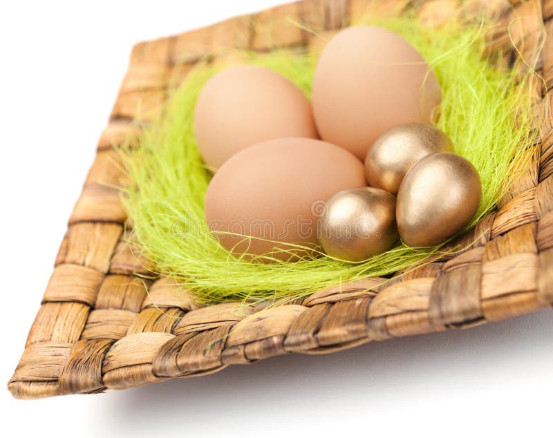 Brown and golden easter eggs are on wattled square plate with sisal green fibre, isolated on white