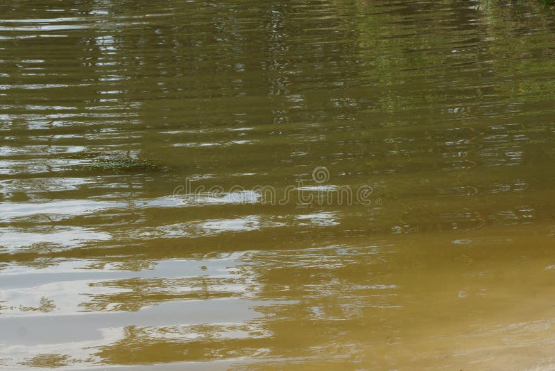 Brown Texture of Water and Waves on the Pond Stock Image Image of