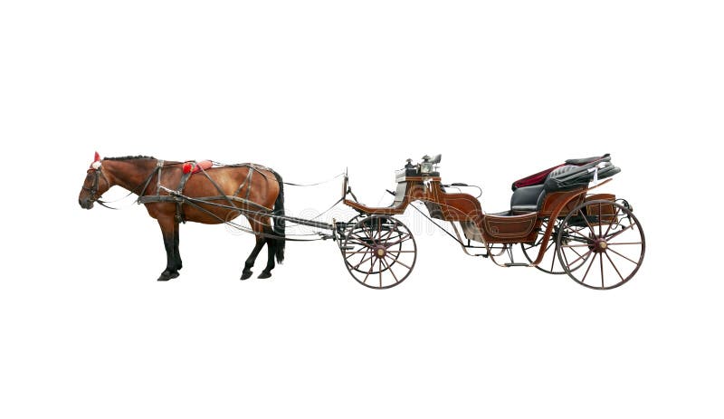 Brown horse and old classic open carriage coach Isolated on white