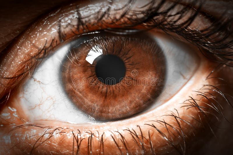 Brown human eye extreme macro shot stock images Brown human eye extreme macro shot stock images