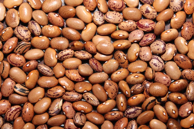 Brown kidney bean stock photo. Image of navy, beans, cooking 69303640