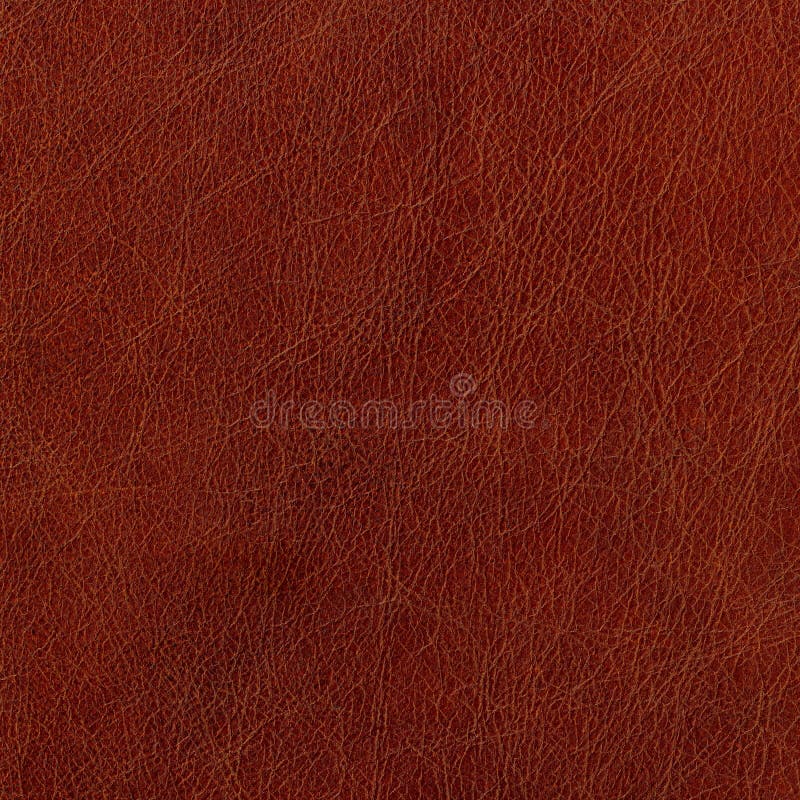 Leather Sheet Images – Browse 24,788 Stock Photos, Vectors, and
