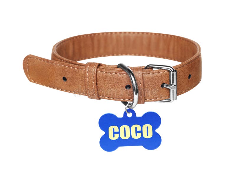 Brown Leather Dog Collar with Bone Shaped Tag Isolated on White Stock