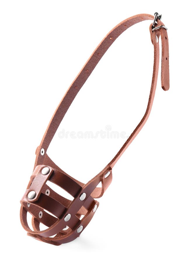 Brown Leather Dog Muzzle Isolated on White Stock Photo Image of safety, outdoor 272138218