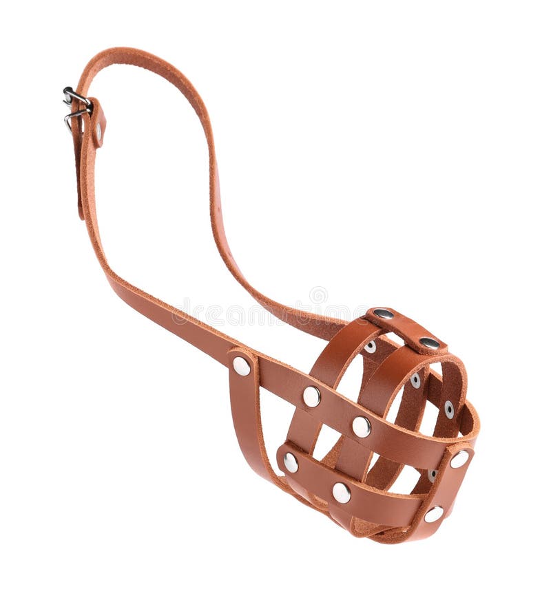 Brown Leather Dog Muzzle Isolated on White Stock Image Image of