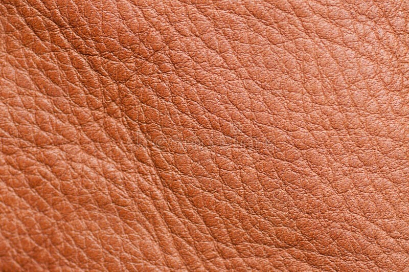 Brown Leather Texture Up Close Stock Photo Image of industrial