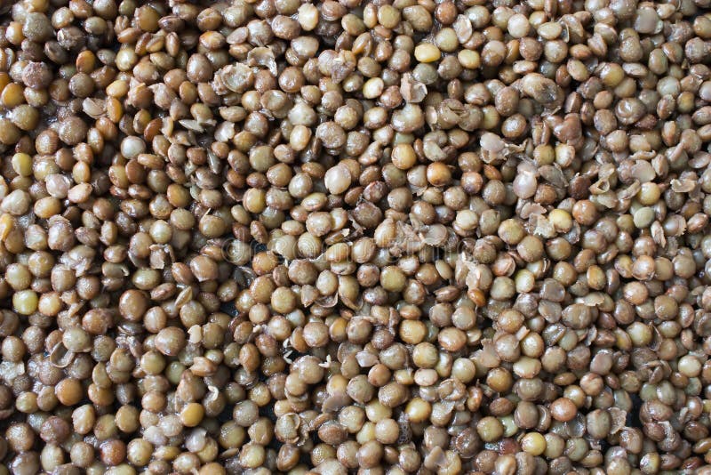 Brown Lentils stock image. Image of frame, vegan, side 12979453
