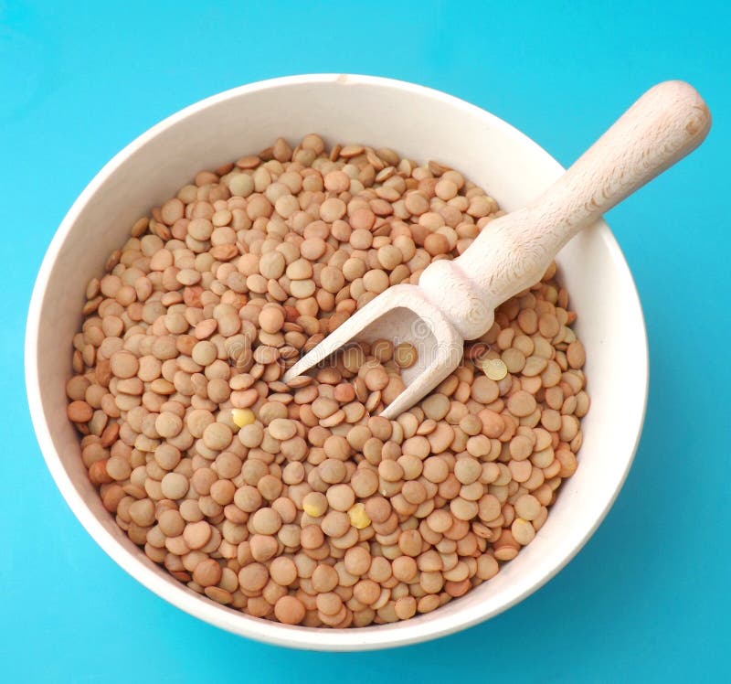 Brown lentils stock photo. Image of dried, lentil, vitamins 43371734