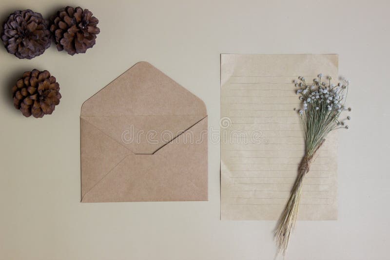A brown letter and envelope with flower and pine cones over the brown background. royalty free stock image