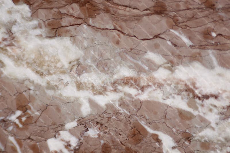 Brown Marble with White Spots and Black Veins Stock Photo Image of